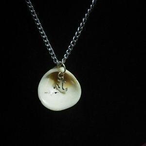 Natural Florida shell with anchor necklace